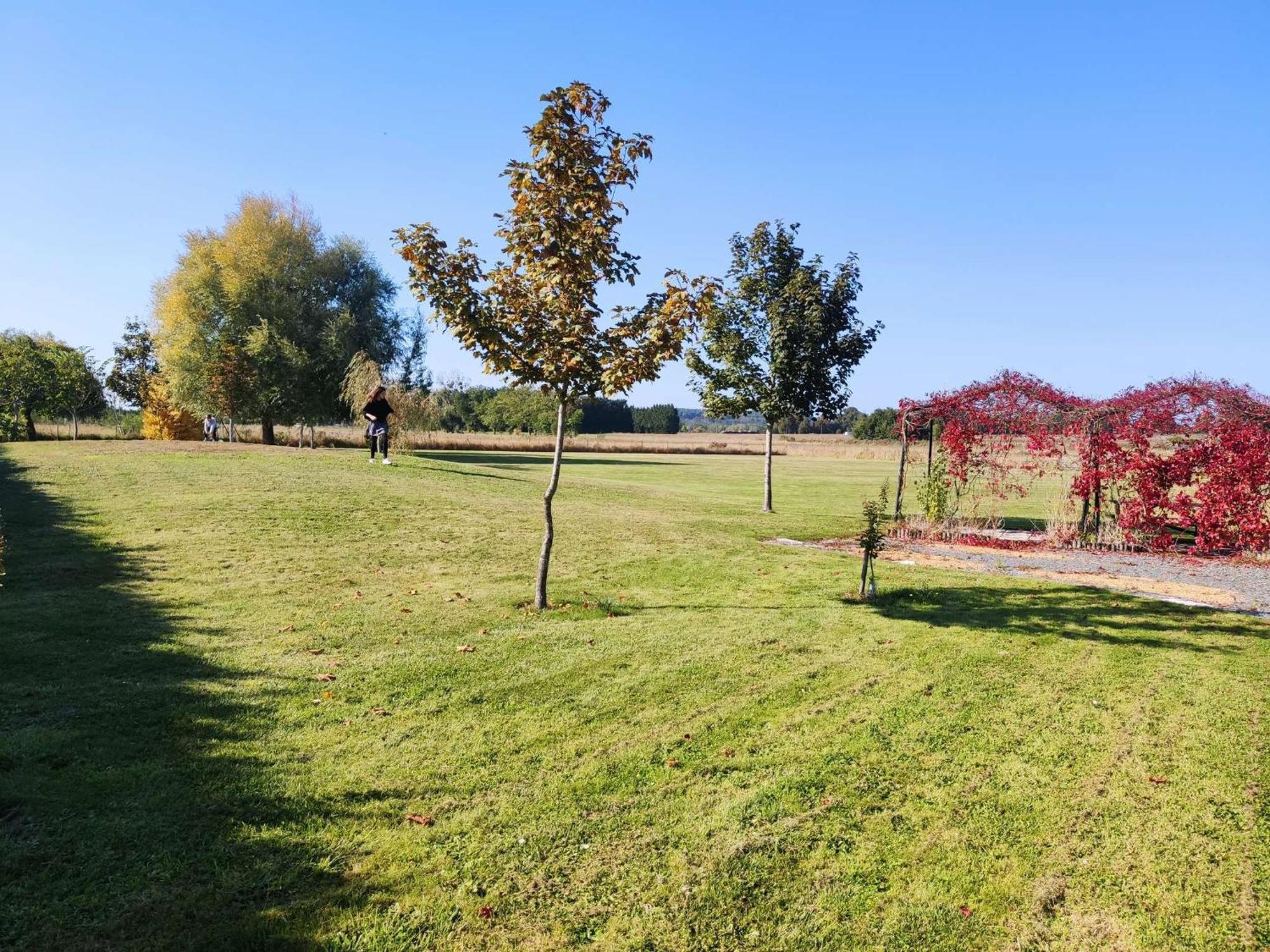 Gites Les Volets Rouges D'Allonnes Allonnes  Номер фото